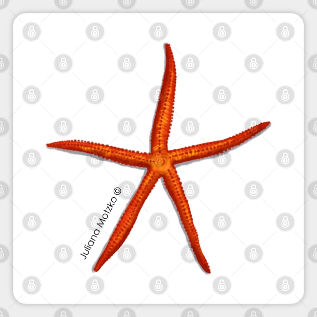 Velvety Sea Star Magnet by julianamotzko